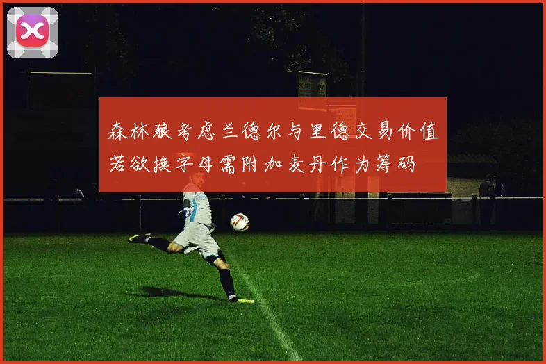 森林狼考虑兰德尔与里德交易价值若欲换字母需附加麦丹作为筹码