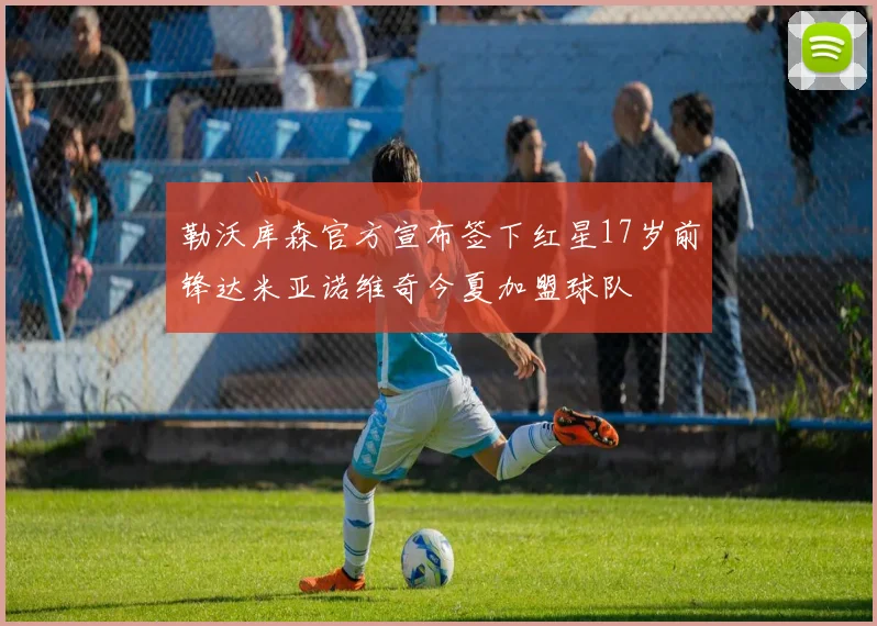 勒沃库森官方宣布签下红星17岁前锋达米亚诺维奇今夏加盟球队