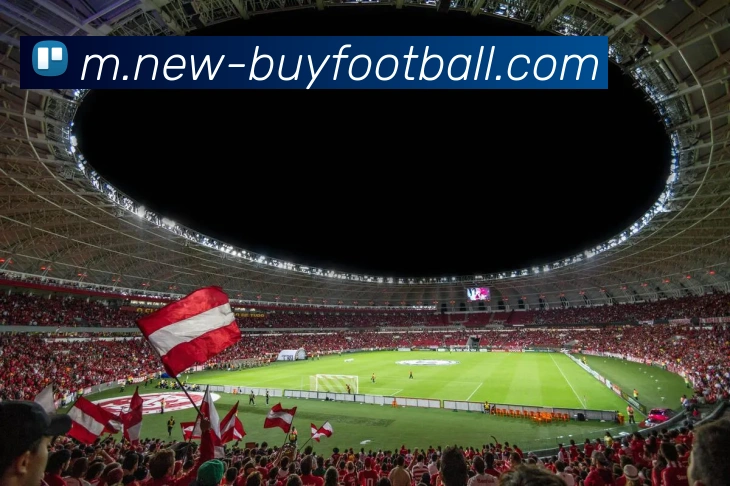 多媒体互动体验